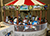 Carousel Horses